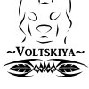 VoltSkiya.jpg