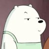 Ice Bear Lenny face.jpg