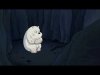 Ice Bear Traumatized.jpg