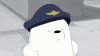 Ice Bear approves.jpg