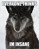 Everyone-Thinks-I-Am-Insane-Funny-Wolf-Meme-Image.jpg