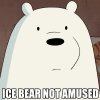 98fc879ba49e86443b51c277e890be5f_ice-bear-meme-by-cyberfox-on-ice-bear-meme_600-600.jpeg