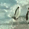 slap_penguin_animated.gif