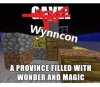 wynncon memes.jpg