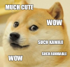 Doge.PNG