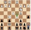 Chess 116.JPG