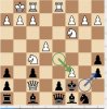 Chess 118.JPG