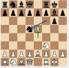 Chess 205.JPG