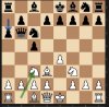 Chess 504.JPG