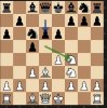 Chess 507.JPG