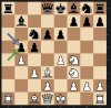 Chess 510.JPG