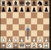 Chess 801.JPG