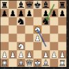 Chess 804.JPG