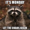 its-monday-let-the-chaos-begin.jpg