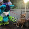 Furry Scaring Dog 24022019122329.jpg