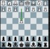 Chess 0101.JPG