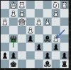 Chess 0116.JPG