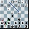 Chess 0120.JPG