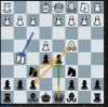 Chess 0121.JPG