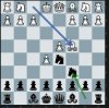 Chess 0204.JPG