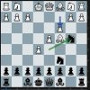 Chess 0205.JPG