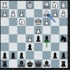 Chess 0211.JPG