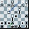 Chess 0213.JPG