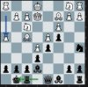 Chess 0214.JPG