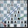 Chess 0216.JPG