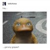 psyduck pikachu movie hey got any grapes duck song.jpg