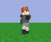 Wynncraft Assassin Walking.png