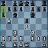 Chess 0408.JPG