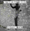 wynncraft mobs.png