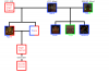 familytree.png