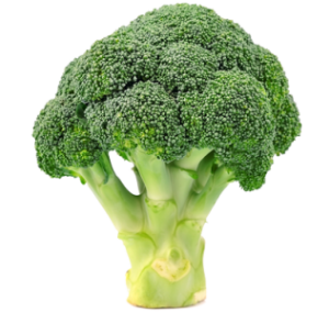 brocoli_368374784-e1473083459210.png