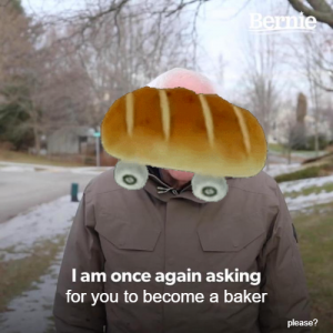 become a baker bernie.png