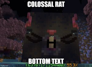 rat.jpg