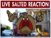 reactionlivesalted.png