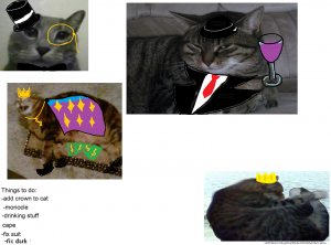 cats with hats.png
