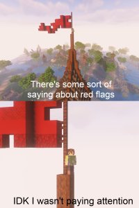 redflags.jpg