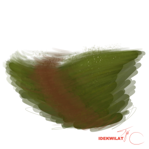 Grass.png