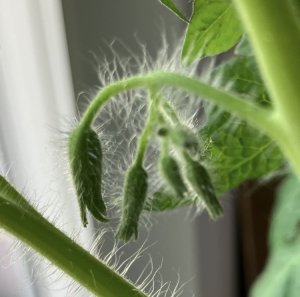 IMG_8698.jpeg