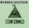Illuminati Wynnexcavation.jpg