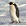 Emperor_Penguin_Manchot_empereur.jpg