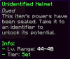 Helmet 44-48.PNG