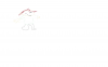 Untitled.png