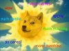 doge.jpg