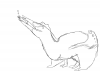 hatzegopteryx.png