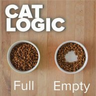 The_Empty_Cat