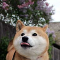 Tunbo_
